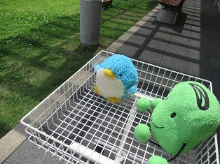 館内整理日